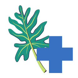 Selloum Pharma Logo